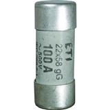 Eska 1460025 CH10 aR 25A 600V