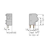 Wago 254-856