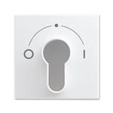 Busch-Jaeger 2557 SLPZ-914-101