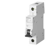 Siemens 5SJ6106-6