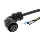 Omron R88A-CAGB010SR-E