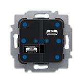 Busch-Jaeger 6213/2.1-WL