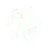 Schneider Electric 82904