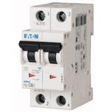 Eaton Electric FAZ-D6/2