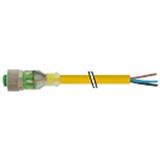 Murrelektronik 7000-12281-0130500