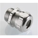 Pflitsch 24055p25S19ex