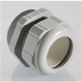 Pflitsch 23254u18