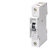 Siemens 5SX2125-6