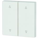 Eaton Electric CWIZ-02/21