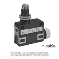 Azbil SL1-AKFXG2 Compact Horizontal Limit Switch