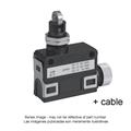 Azbil SL1-DXG3 Compact Horizontal Limit Switch
