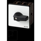 Eaton Electric P3-100/E