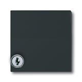 Busch-Jaeger 2118 GKSL-35