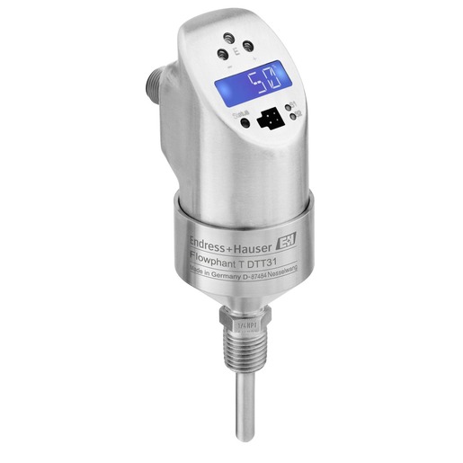Endress + Hauser DTT31-A1A111AE2CAA Turkiye