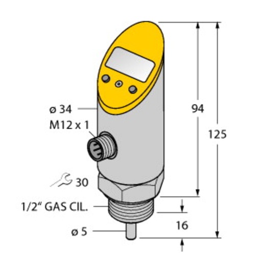 Turck TS-516-LI2UPN8X-H1141-L016 Turkiye