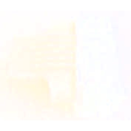 Eaton Electric RA-C1-END1 Turkiye