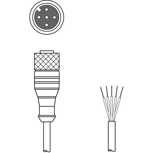 Leuze electronic CB-M12-15000E-5GF Turkiye