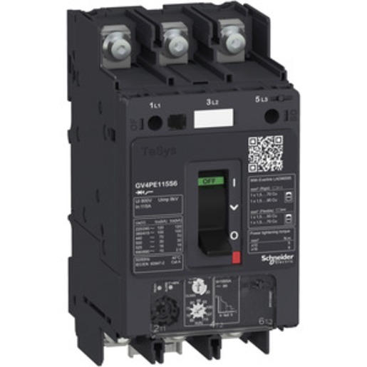 Schneider Electric GV4PE80B6 Turkiye