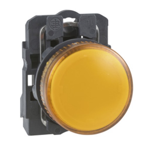 Schneider Electric XB5AV65 Turkiye