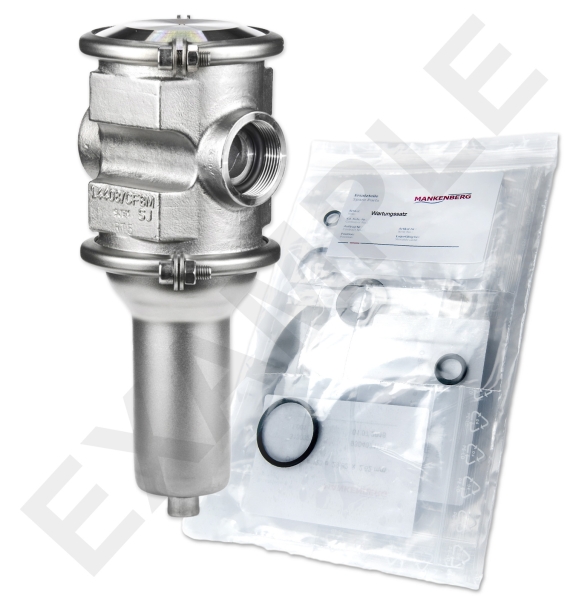 Mankenberg 6655143TA-5 WS Maintenance Kit for DM 555 | DN 25 (1“) | Art No 6655143TA-5 Turkiye