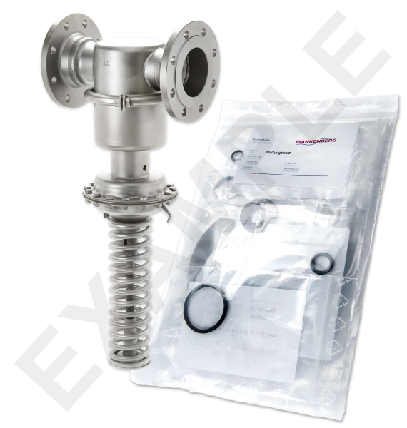 Mankenberg 6590502TA-8   WS Maintenance Kit WS/DM664-100-FA22-16-D054-20-V1-EE-E77-E82 | Turkiye