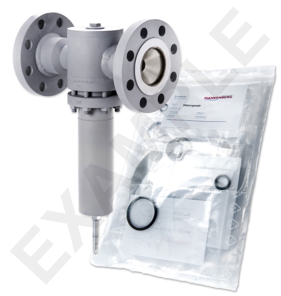 Mankenberg 6620023TA-1   WS Maintenance Kit WS/DM620    2    *100TX 10F -10FV | Turkiye