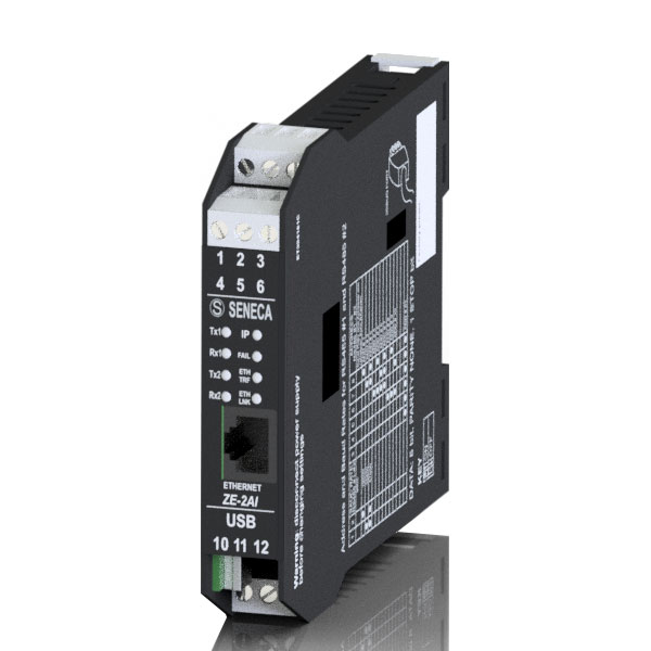 Seneca ZE-2AI (HW rev. A0/B0/C0) 2 CH Analogue input Modbus RTU - Modbus TCP-IP module Turkiye