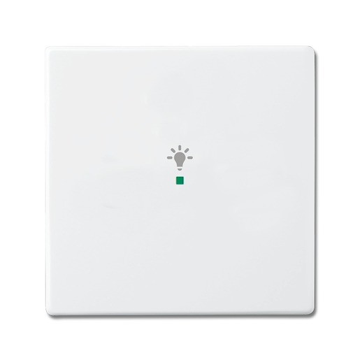 Busch-Jaeger 6231-10-84 Turkiye