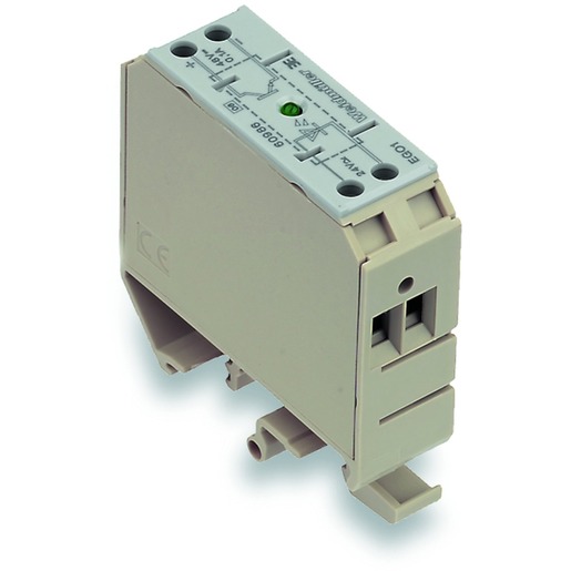 Weidmüller EGO1 EG2 24VDC 3KHZ Turkiye