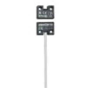 Schmersal BNS 250-11zG