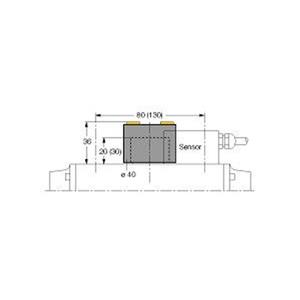 Turck BTS-DSU35-EU2 Turkiye