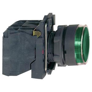 Schneider Electric XB5AW3365 Turkiye