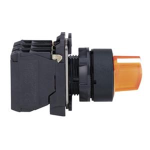 Schneider Electric XB5AK125B5 Turkiye
