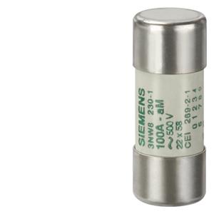Siemens 3NW8220-1 Turkiye