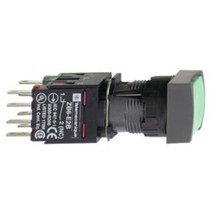 Schneider Electric XB6CA31B Turkiye