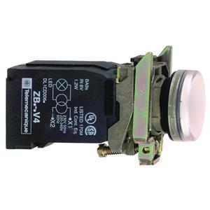 Schneider Electric XB4BV41 Turkiye