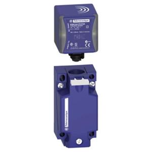 Schneider Electric XS7C4A1DPG13 Turkiye