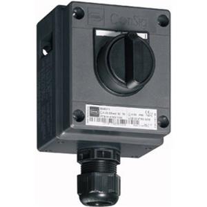 Stahl Schaltgeräte 8040/1180X-26M01SA05 Turkiye