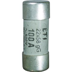 Eska 1460025 CH10 aR 25A 600V Turkiye