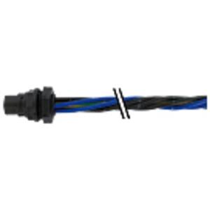 Murrelektronik 7000-P8181-P800025