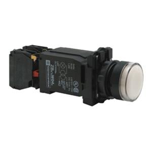 Schneider Electric XB5AW3145 Turkiye