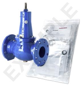 Mankenberg 6644111A WS Maintenance Kit for VRCD (DM 644) | DN 50 (2“) | Art Nr6644111A