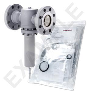 Mankenberg 6621403SA-1   WS Maintenance Kit WS/DM620-80-FA07-160-D083-10-ST-YE-E29-E71 | Turkiye