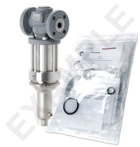 Mankenberg 6618131BA     WS Maintenance Kit WS/DM618Z-65-FA13-40-D060-80-CS-YE-N | Turkiye