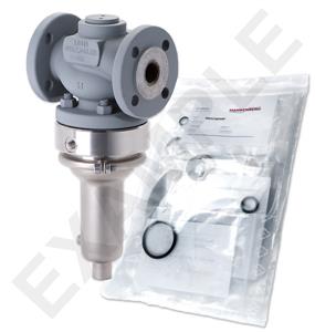 Mankenberg 66182388A     WS Maintenance Kit WS/DM618-80-FA22-150-D054-90-CS-EE-N | Turkiye