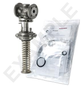 Mankenberg 65540666A-E   WS Maintenance Kit WS/DM613-50-FA11-16-D060-32-CS-EE-N | Turkiye