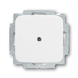 Busch-Jaeger 2538-214