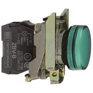 Schneider Electric XB4BVB3 Turkiye