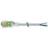 Murrelektronik 7000-12291-2341000