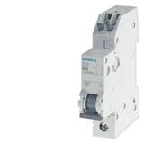 Siemens 5SJ6116-7KS